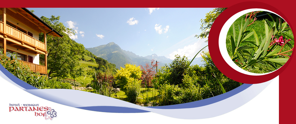 Garten Liegewiese Pool Sudtirol Hotel